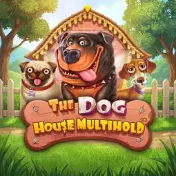 The Dog House Multihold game at Spinsy Casino for Australian players The Dog House Multihold game at Spinsy Casino for Australian players